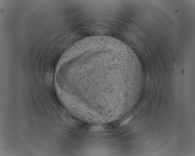 X0000087380177200705181251