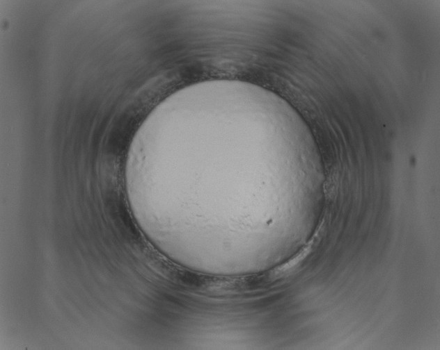 X0000087380178200705181251