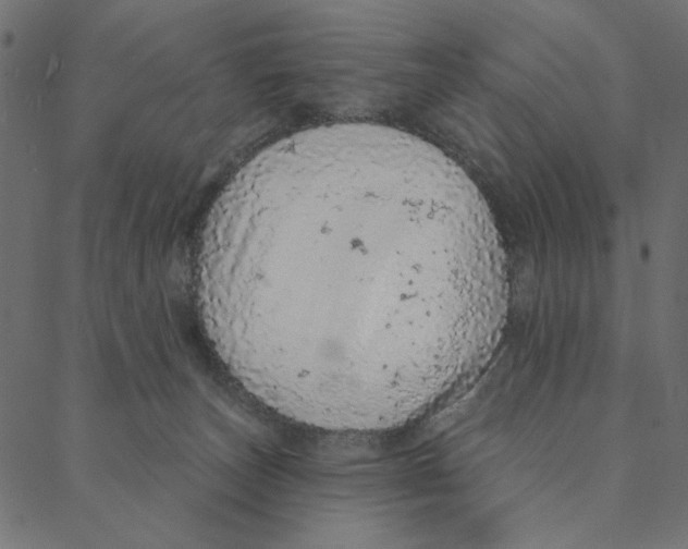 X0000087380179200705181251