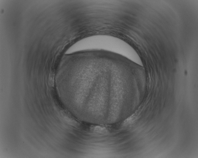 X0000087380180200705181251