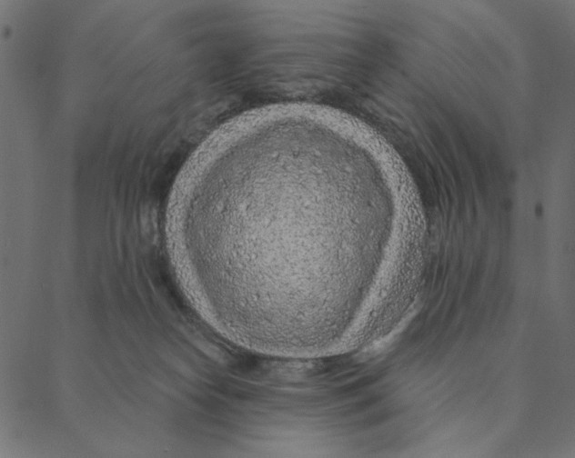 X0000087380182200705181251