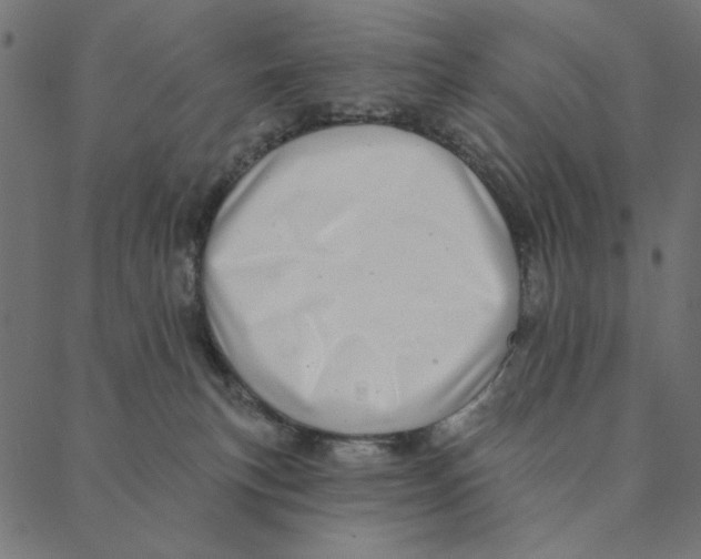 X0000087380183200705181251