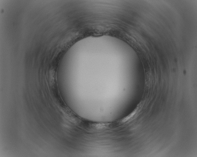 X0000087380184200705181251