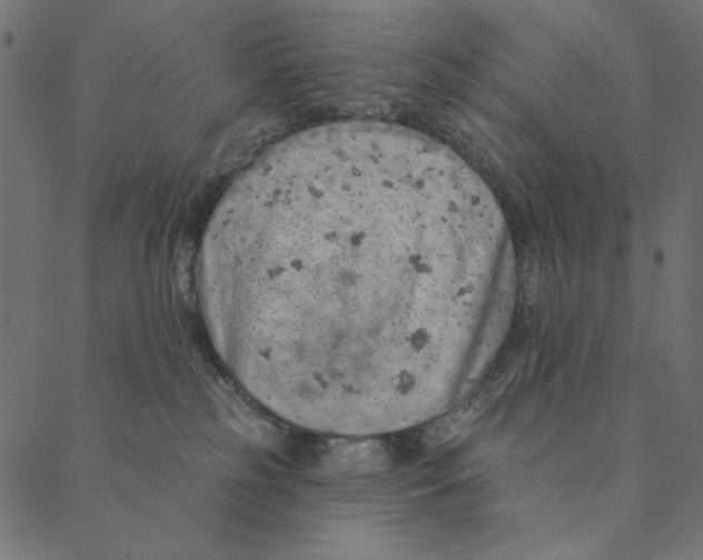 X0000087380185200705181251