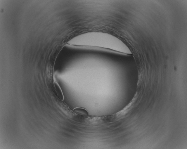 X0000087380186200705181251