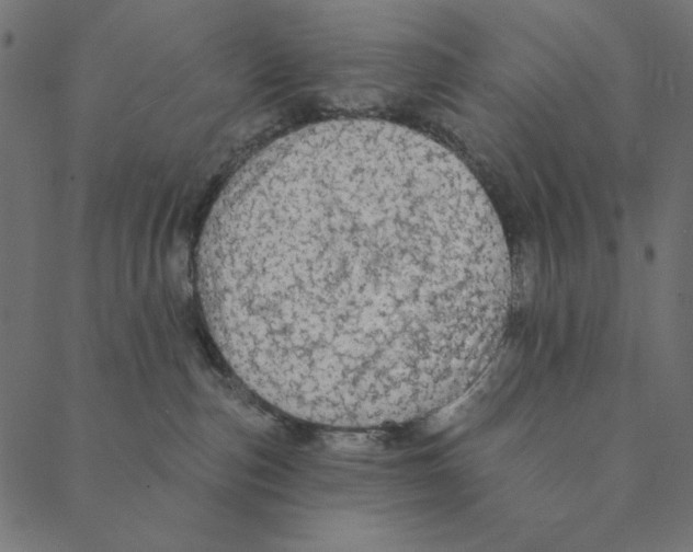 X0000087380187200705181251