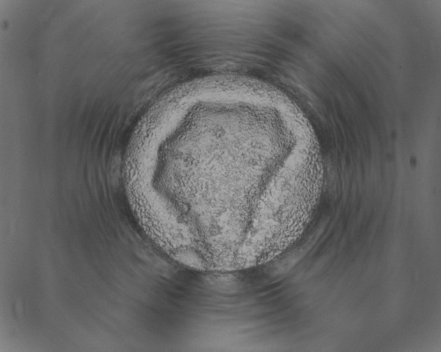 X0000087380189200705181251