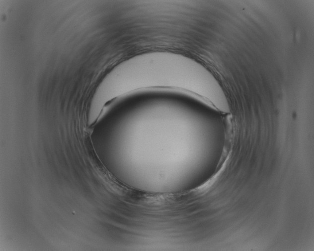 X0000087380190200705181251