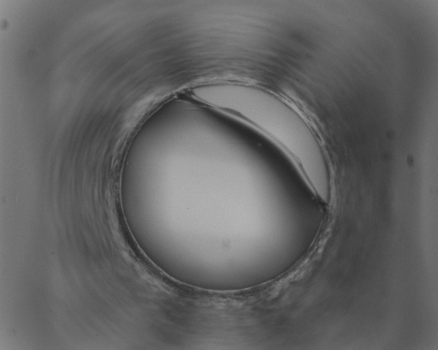 X0000087380193200705181251