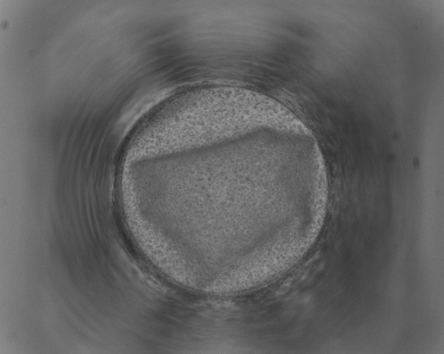 X0000087380194200705181251