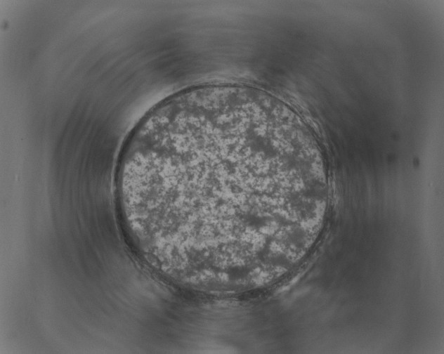 X0000087380196200705181251