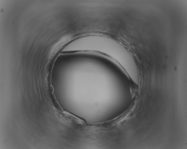 X0000087380197200705181251