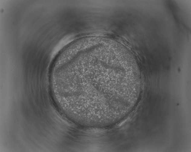 X0000087380198200705181251