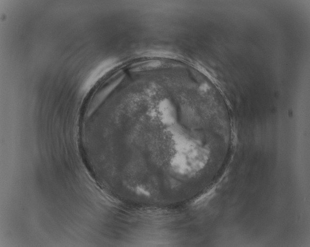 X0000087380199200705181250