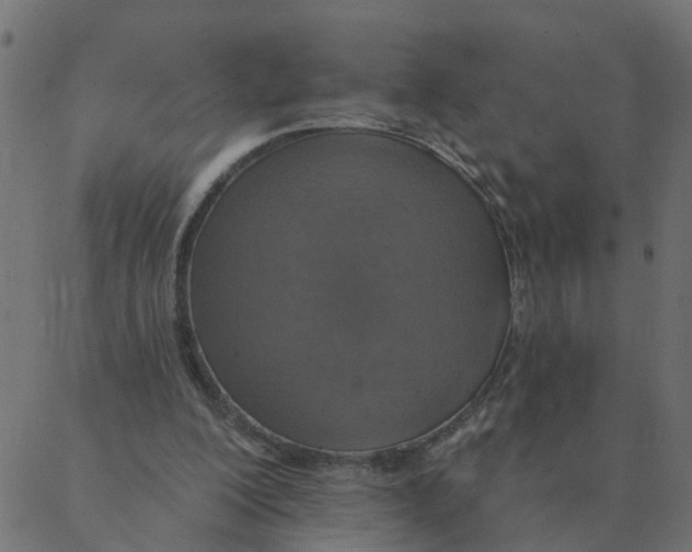 X0000087380200200705181250