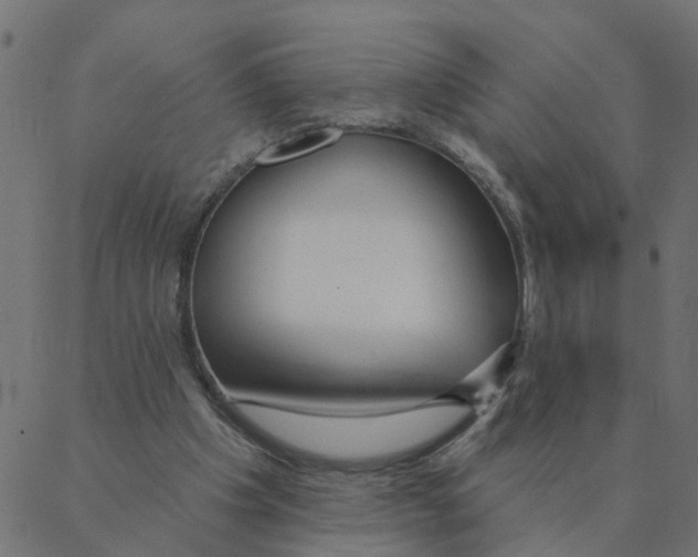 X0000087380201200705181250