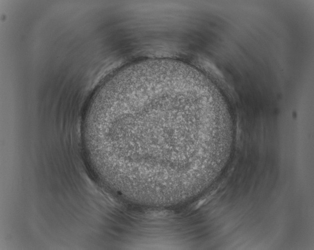 X0000087380202200705181250