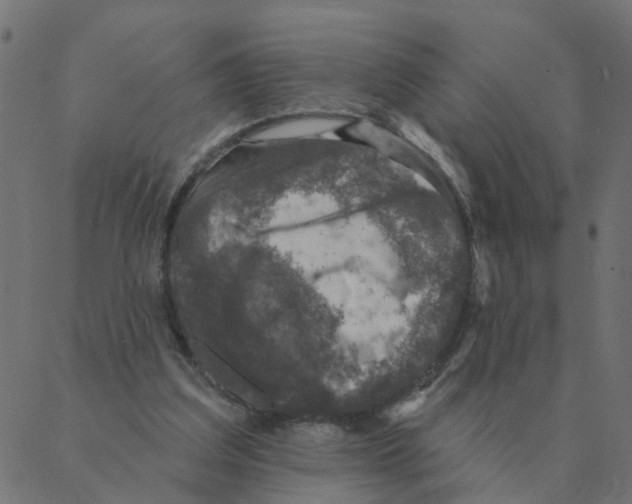 X0000087380203200705181250