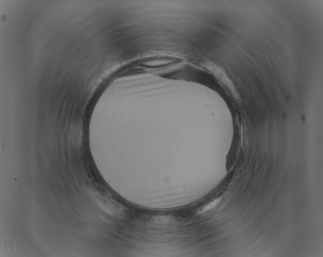 X0000087380204200705181250