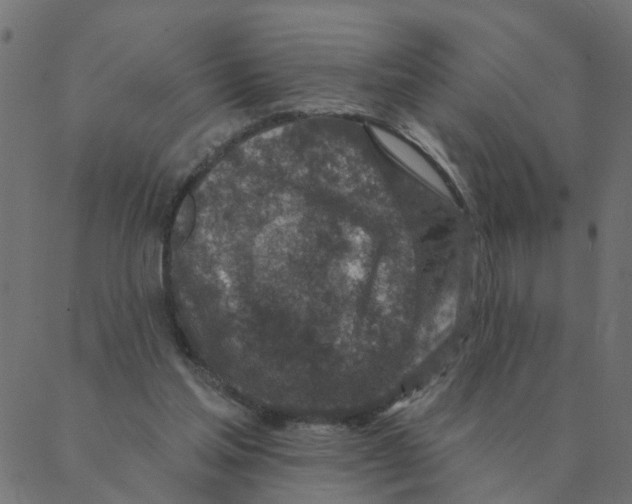 X0000087380205200705181250