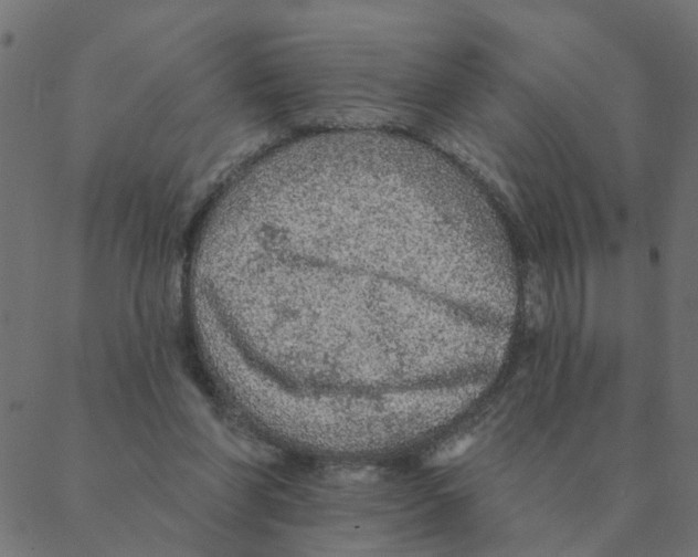 X0000087380206200705181250