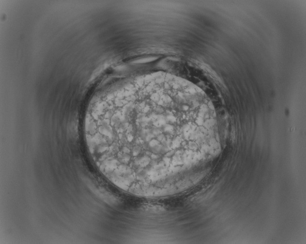 X0000087380207200705181250