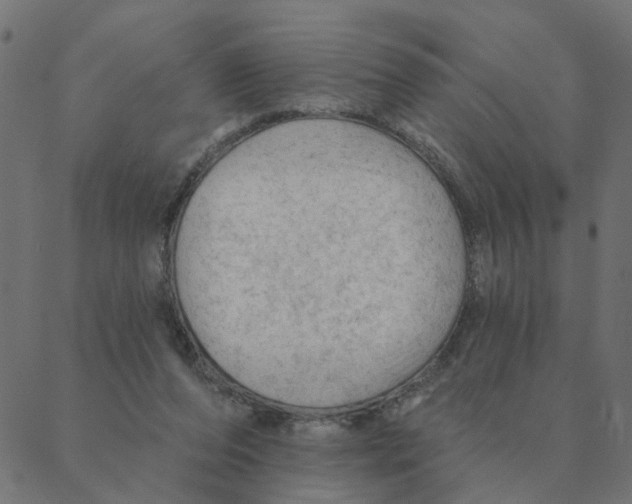 X0000087380208200705181250