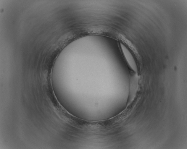 X0000087380209200705181250