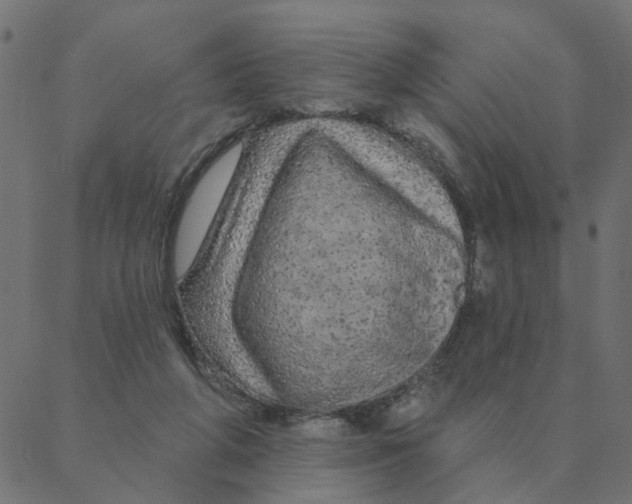 X0000087380210200705181250