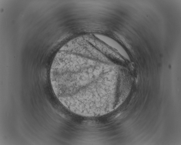 X0000087380211200705181250