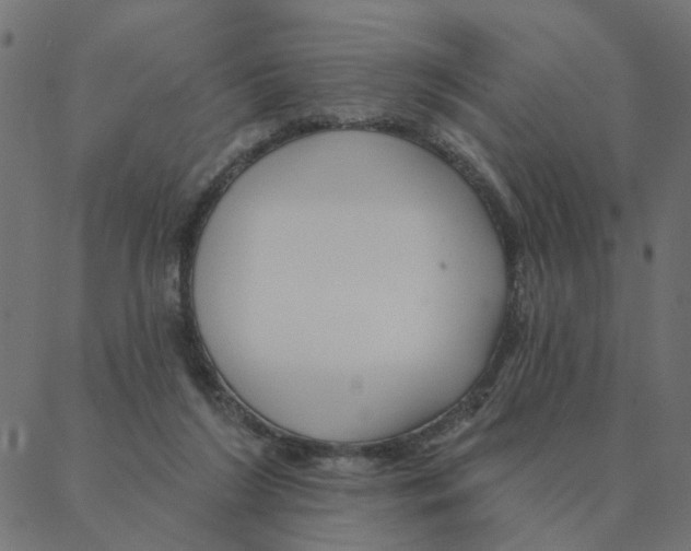 X0000087380212200705181250