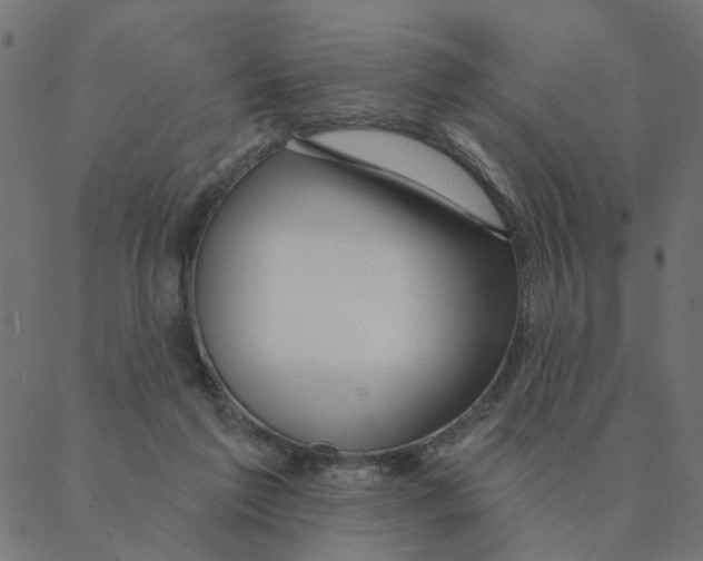 X0000087380213200705181250