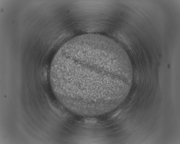 X0000087380214200705181250