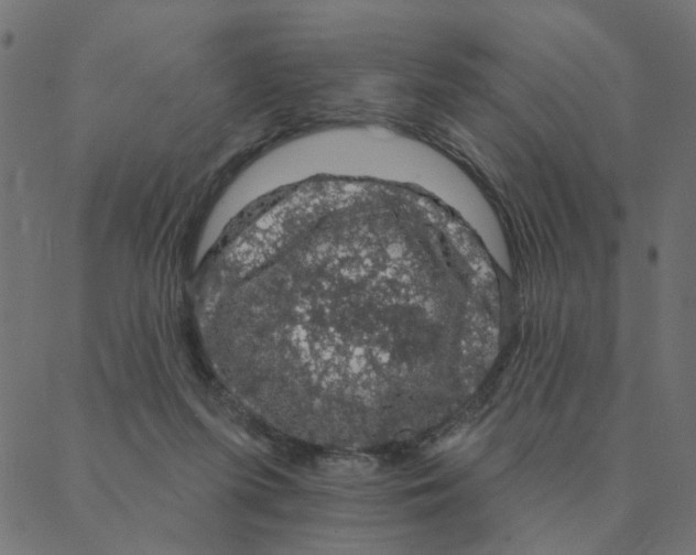 X0000087380215200705181250