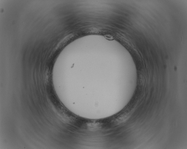 X0000087380216200705181250