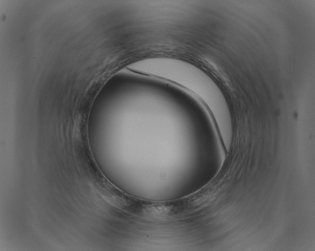 X0000087380217200705181250