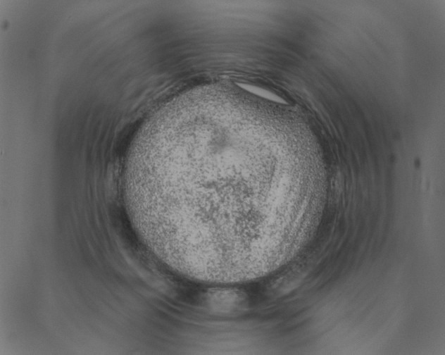 X0000087380218200705181250