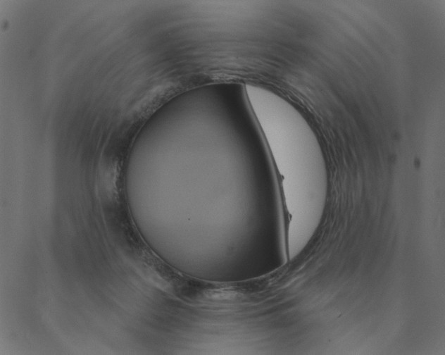 X0000087380219200705181250