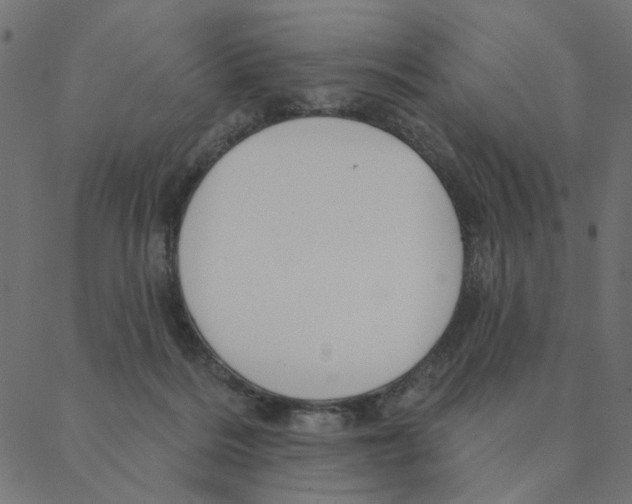 X0000087380220200705181250