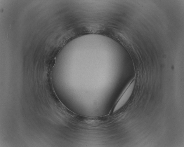 X0000087380221200705181250