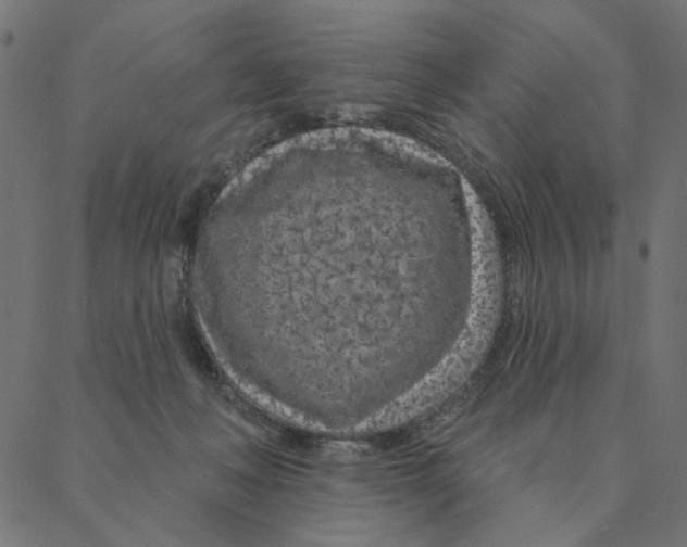 X0000087380222200705181250