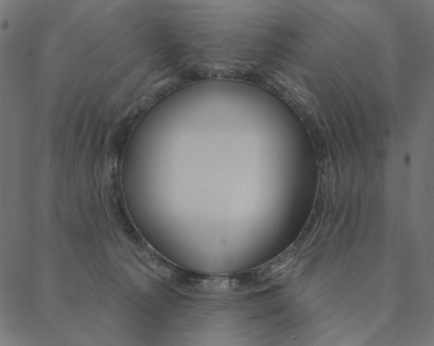 X0000087380225200705181250