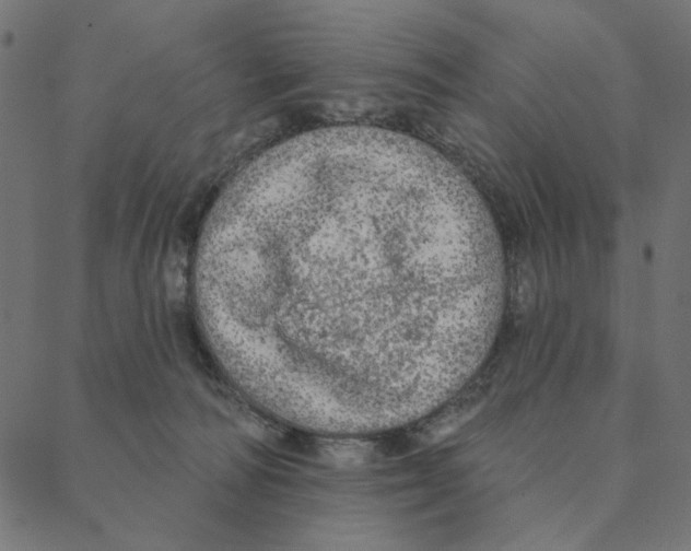 X0000087380226200705181250