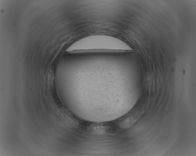 X0000087380228200705181250