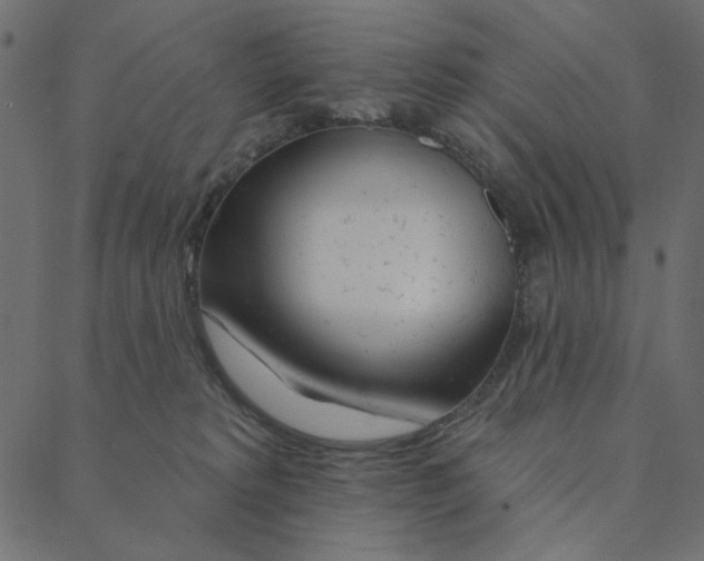 X0000087380229200705181250