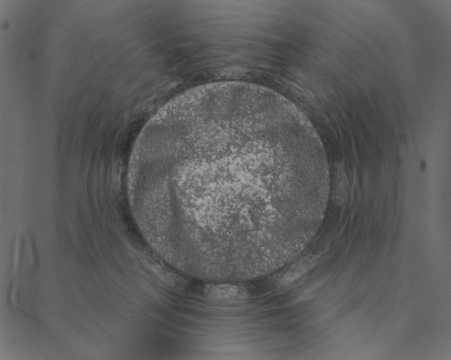 X0000087380230200705181250