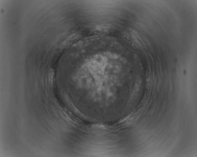 X0000087380231200705181250