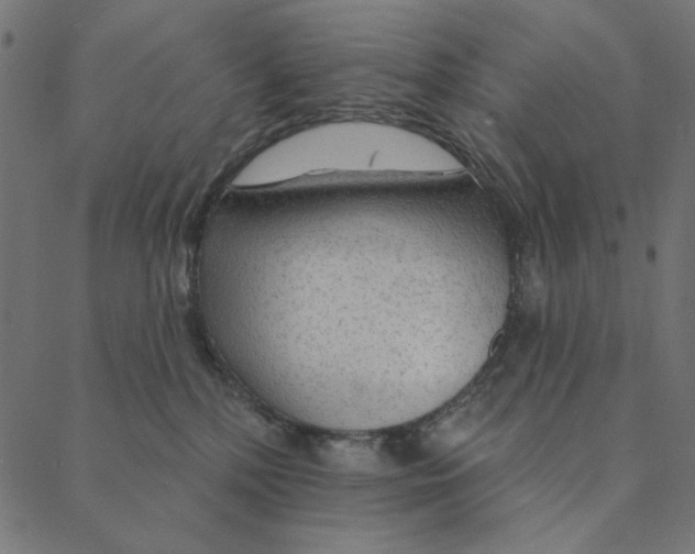 X0000087380232200705181250