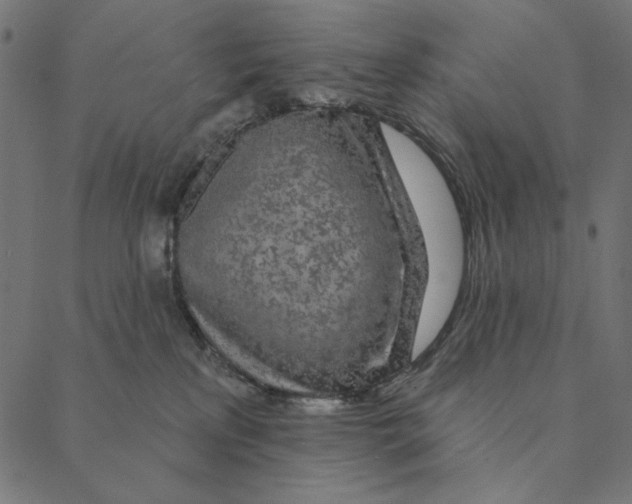 X0000087380233200705181250