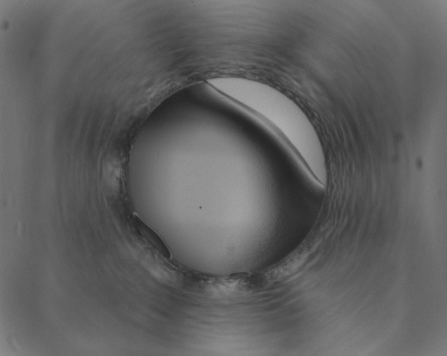 X0000087380235200705181250